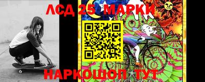 спиды Гай