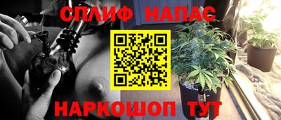 спиды Гай