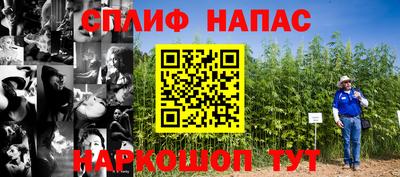 спиды Гай