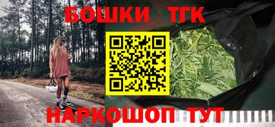 спиды Гай