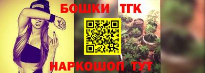 спиды Гай