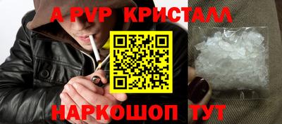 спиды Гай