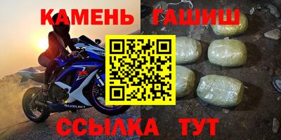 спиды Гай