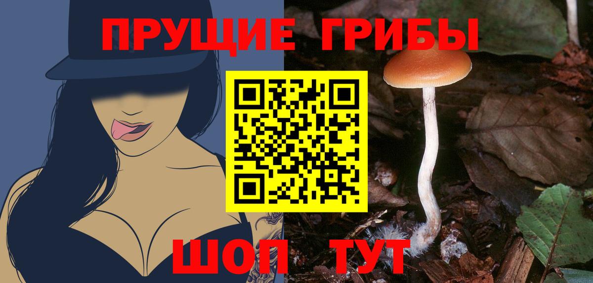 Галлюциногенные грибы Cubensis  Галлюциногенные грибы GOLDEN TEACHER  Вход с VPN  Ликино-Дулёво 